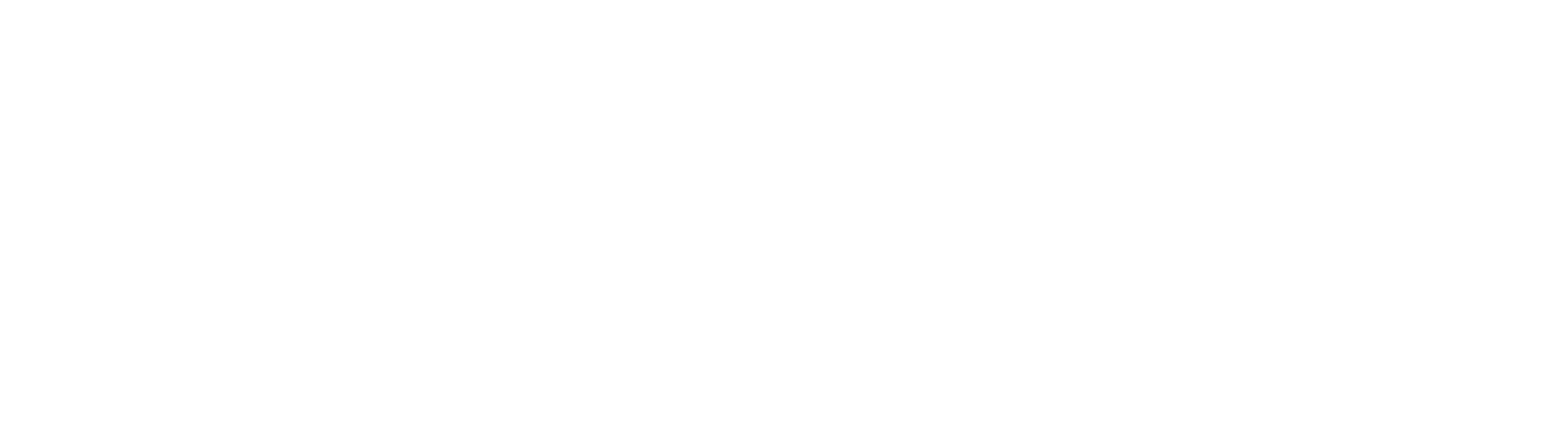 logo de new stage